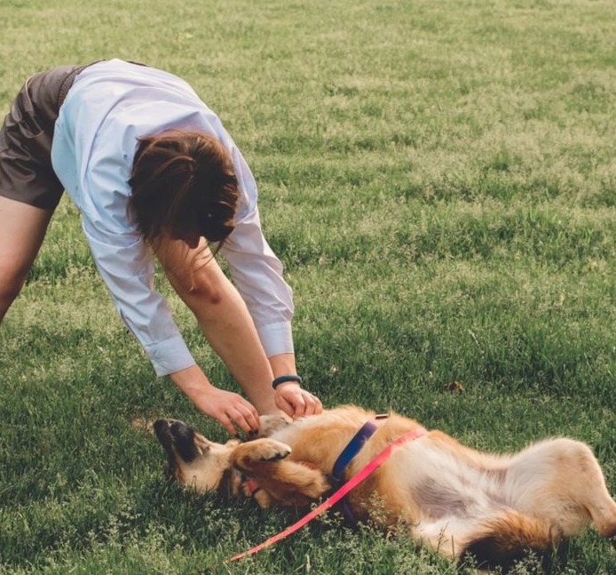 Create Lasting Bonds With Your Pet Through Routine Moments